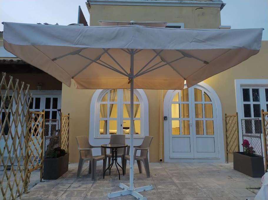 Nala's House *